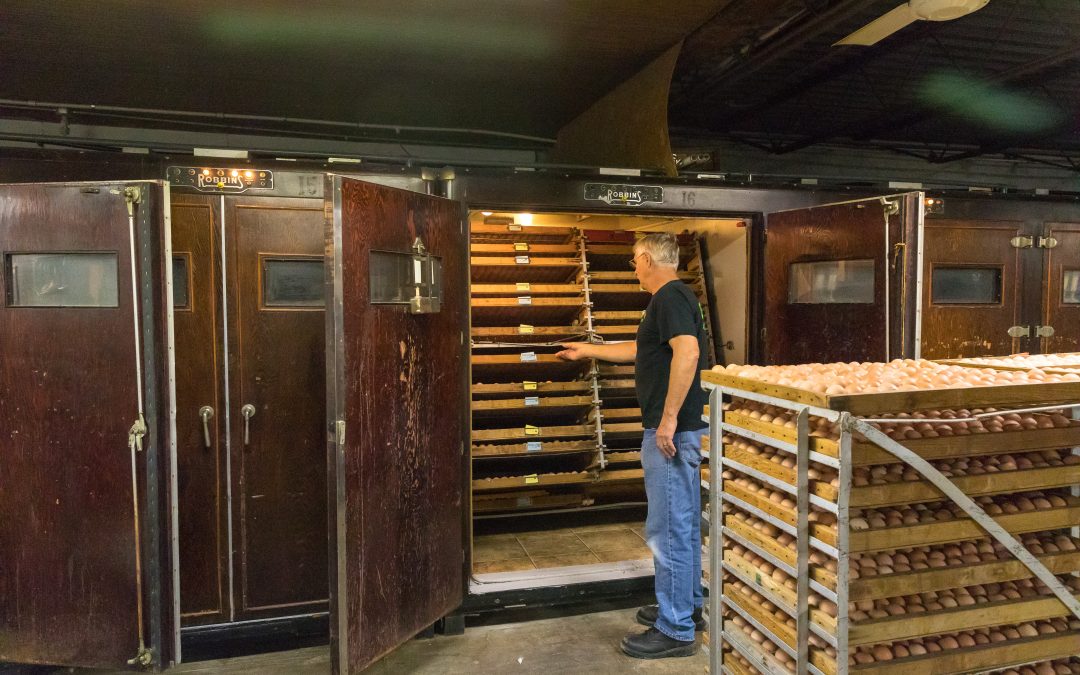 Zeeland Hatchery celebrates 110 years in operation with major expansion