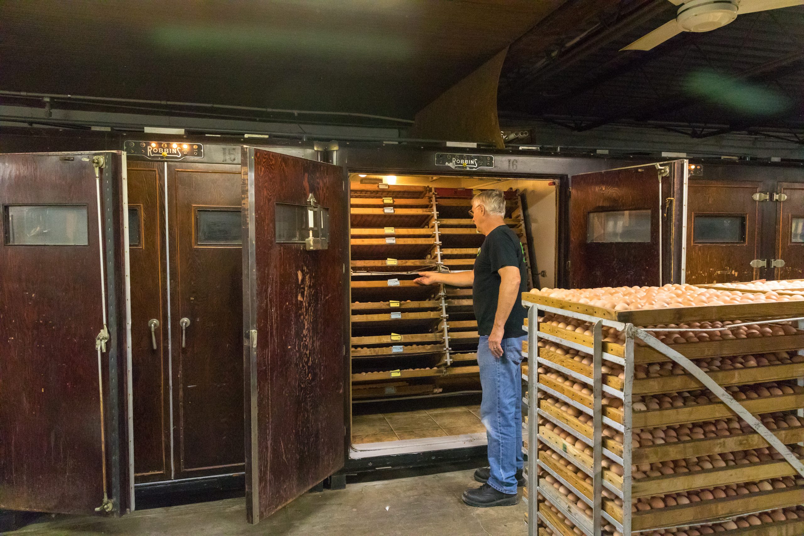 Townline Hatchery Incubators