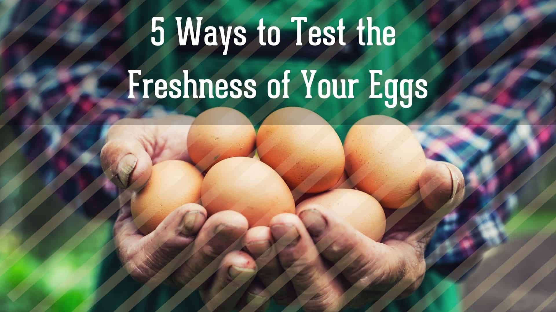 How to Tell if Eggs Are Bad—And How to Keep them Fresh