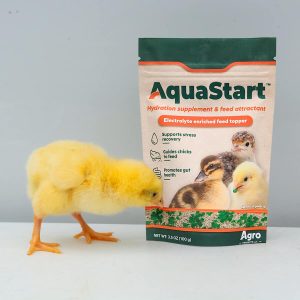 AquaStart bag with chick
