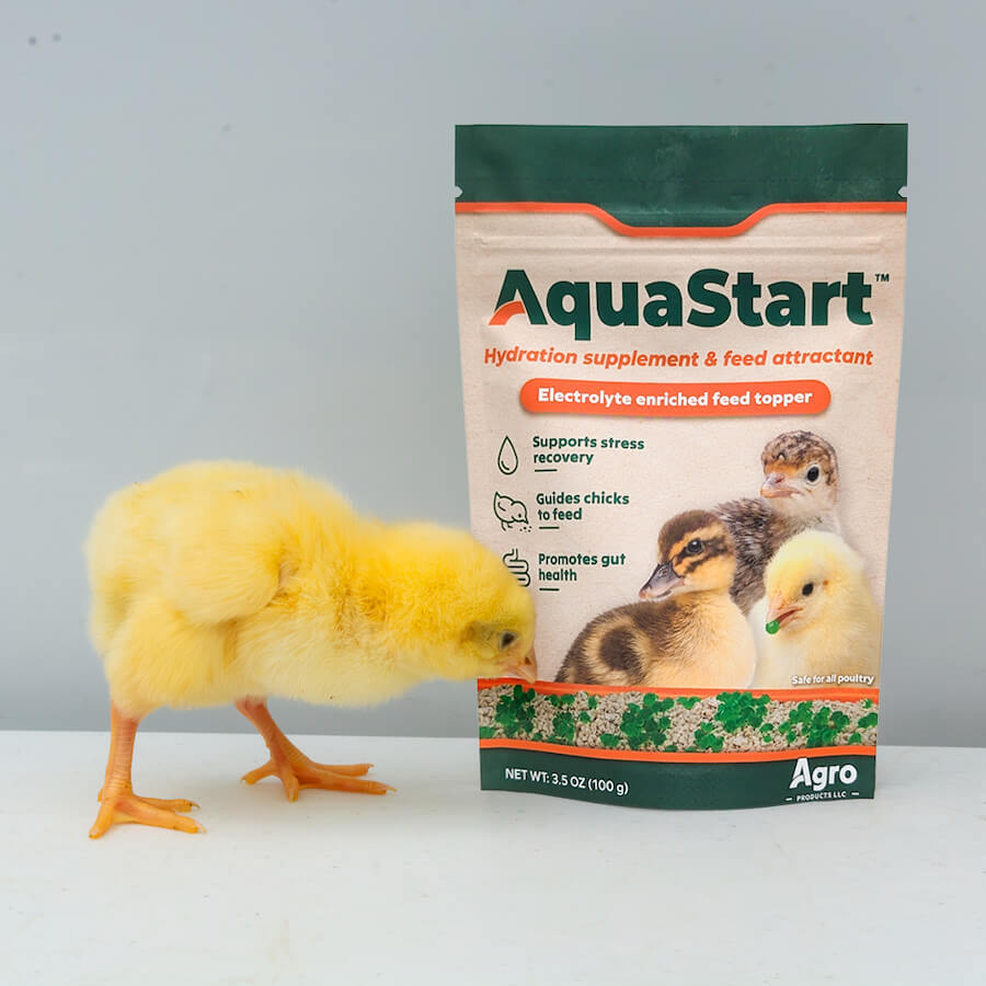 AquaStart bag with chick