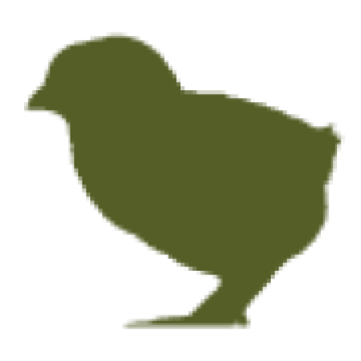 tonwline chick icon