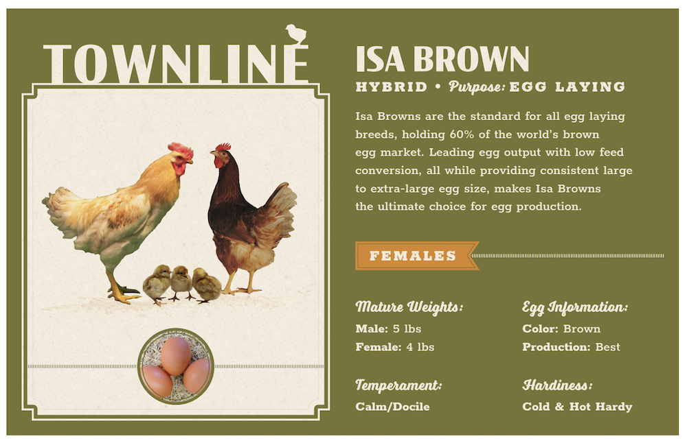 sample townline hatchery tank cards