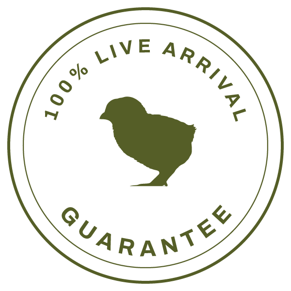 townline-seal-green-transparent