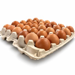 Chicken Hatching Eggs Townline Hatchery